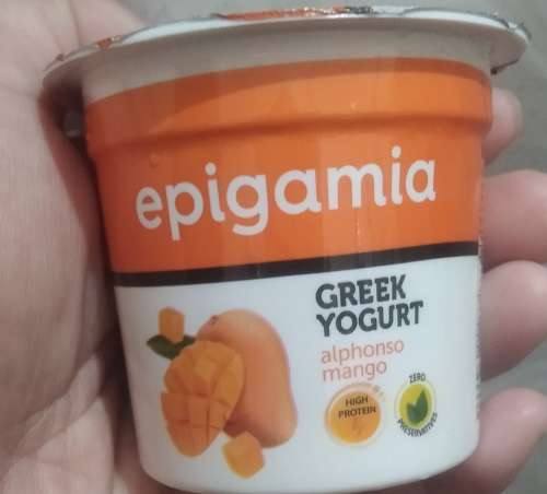Epigamia Greek Yogurt - Alphonso Mango Flavour